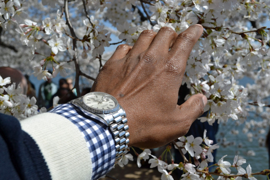 Cherry Blossom - Details